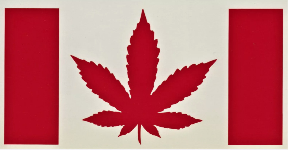 3.5×7 CANADA CANNABIS FLAG DECAL STICKER VINYL RED