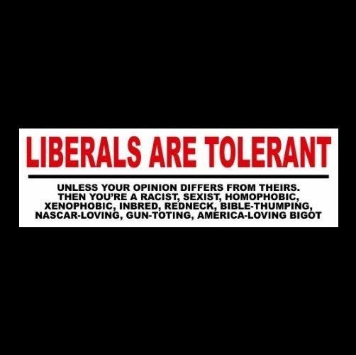 Funny “LIBERALS ARE TOLERANT” Anti Obama Hillary Clinton BUMPER STICKER decal
