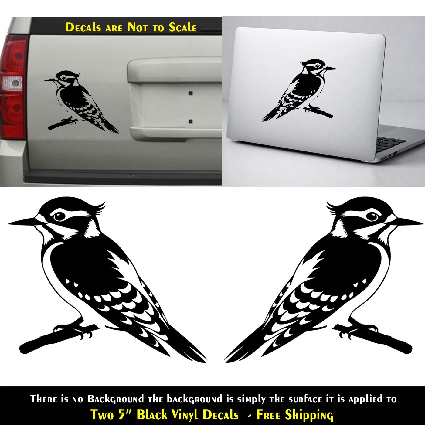Blue Jay Bird Two Pack 5″ Black Vinyl Decals Car Truck Any Flat Surface