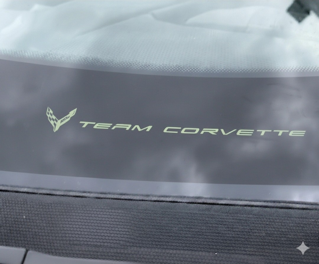 C8 Corvette CACTI GREEN TEAM CORVETTE PLAIN BLNK VINYL INSERT! 2INX7IN