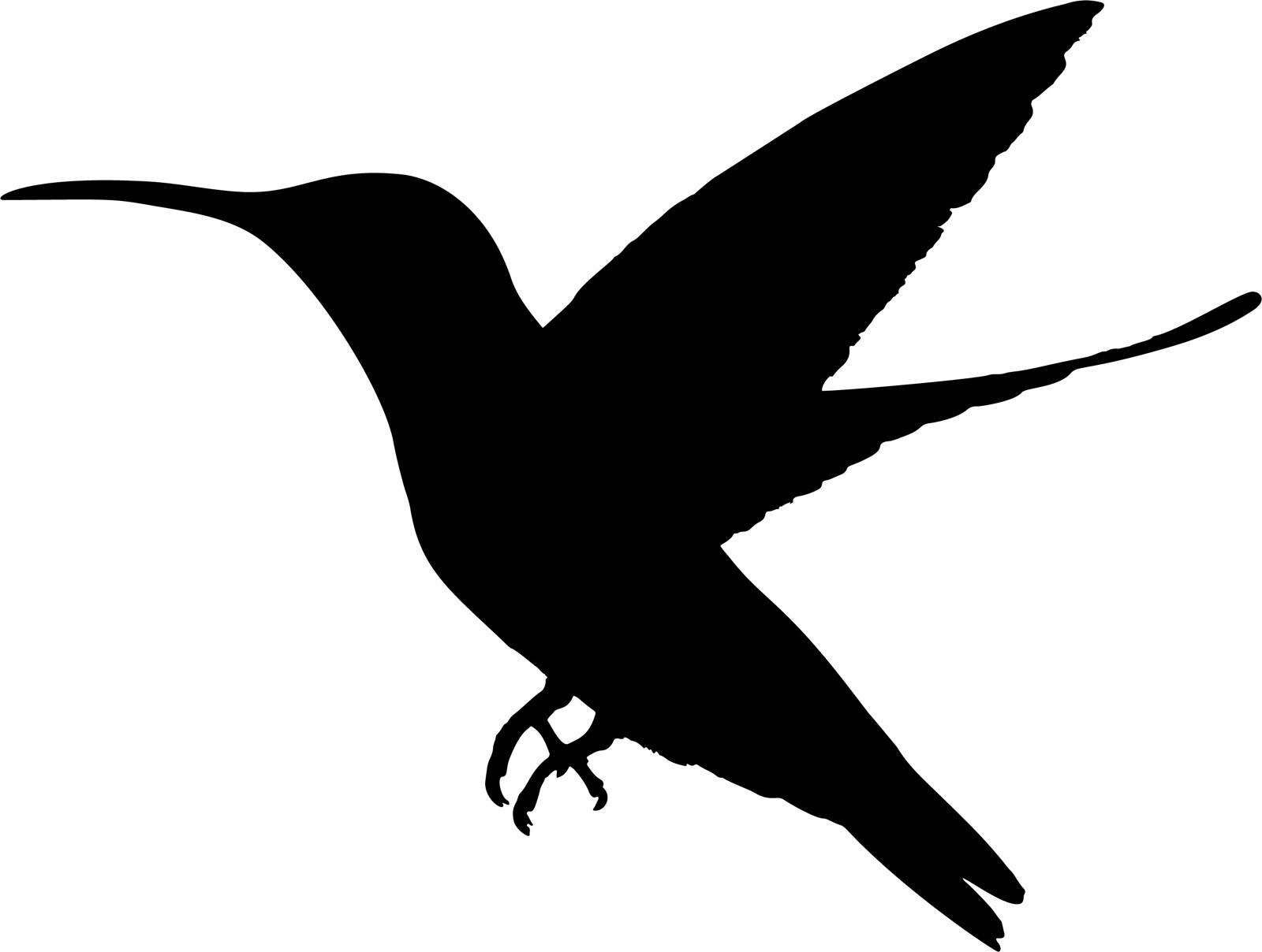 5” Hummingbird Silhouette Cutout Scrapbook Embellishments Craft Decor Party DIY