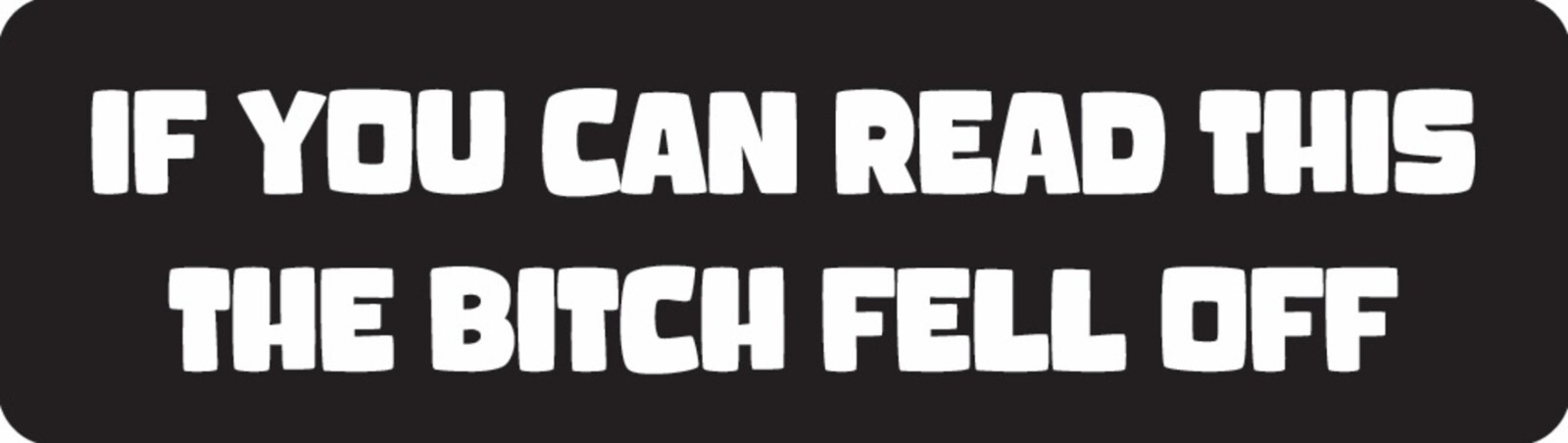 If You Can Read This The Bitch Fell Off Motorcycle Helmet Sticker E