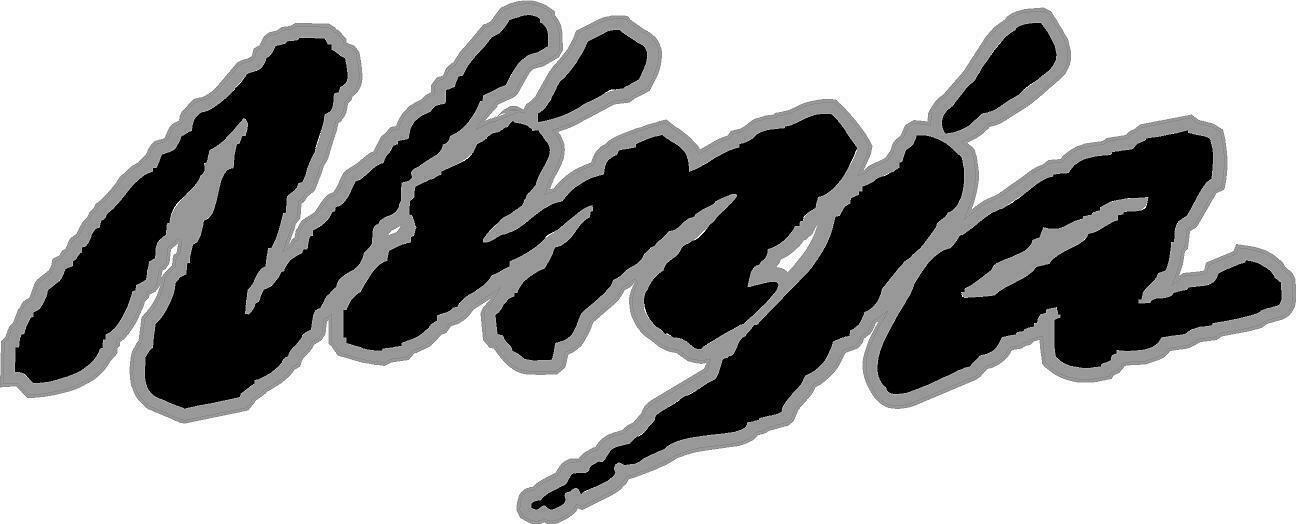 Kawasaki Ninja Black and Silver Decal Sticker Zx-10 zx-6r 6″