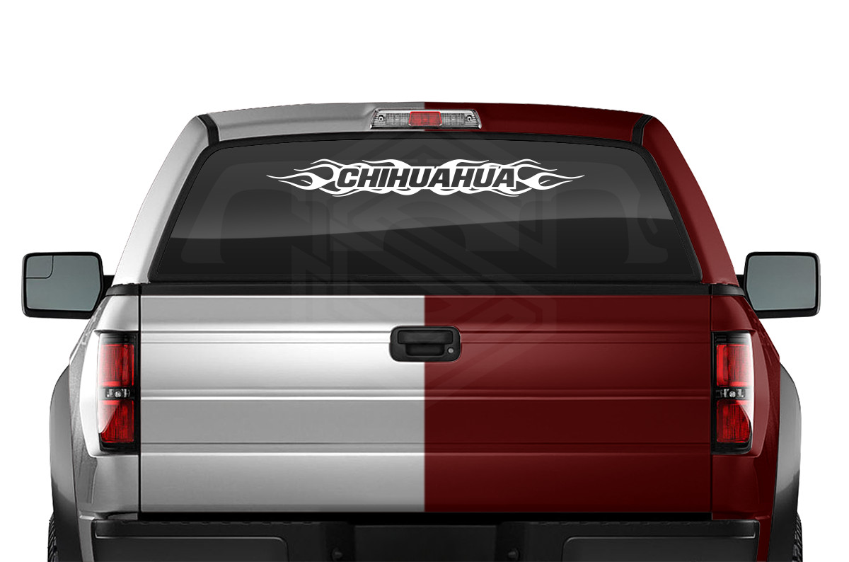 #100 CHIHUAHUA Mexico CHH Decal Sticker Windshield Window Vinyl Graphic Troca
