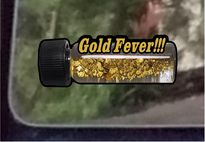 ProSticker 602 (One) 2.3″ x 6.25″ Gold Fever Decal Sticker Prospecting Panning