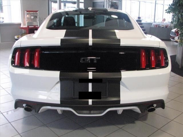 10″ PLAIN Rally Racing Stripe Graphics Stripes Set FIT 2015 – 2025 Mustang