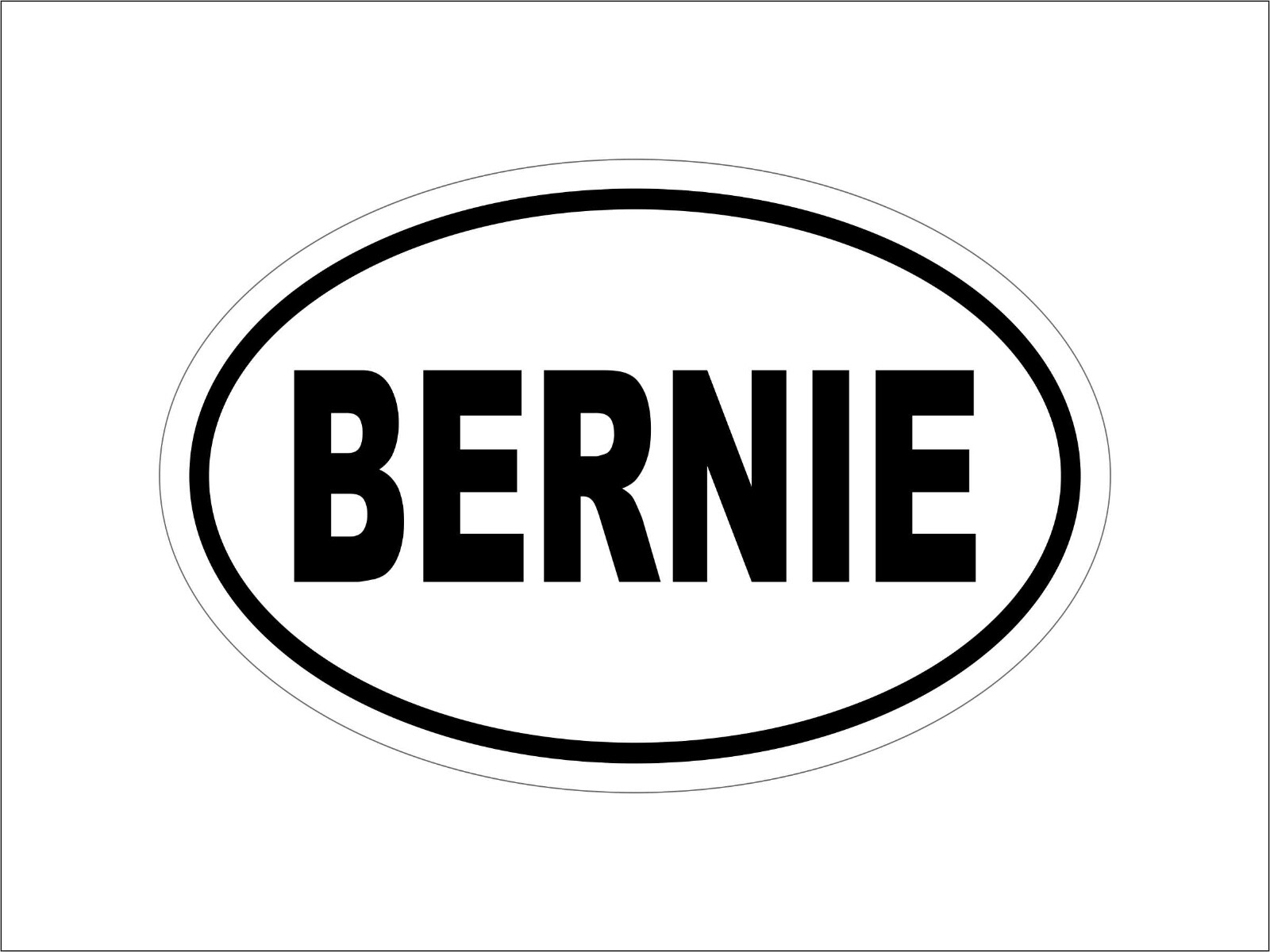 BERNIE SANDERS “BERNIE” 2020 DEMOCRAT OVAL DECAL STICKER POLITICAL CAMPAIGN