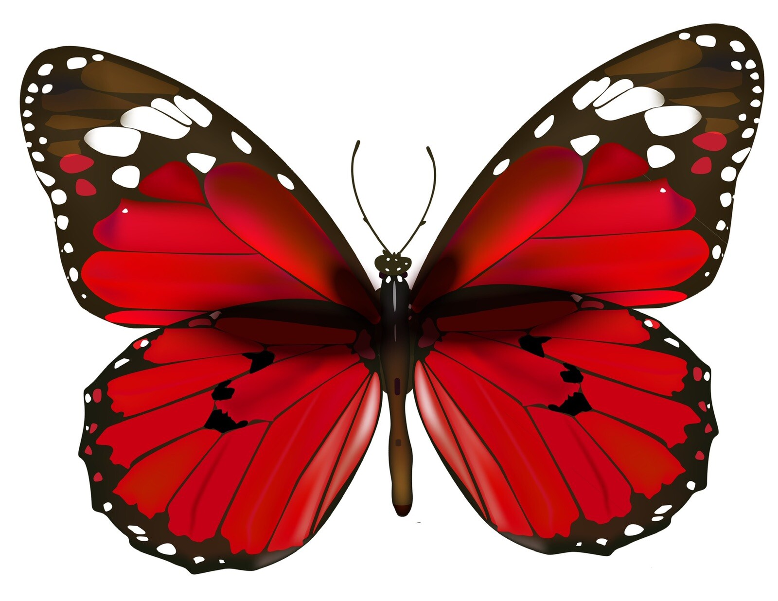 2” Red Butterfly Sticker Vibrant Love Design Pretty Beautiful