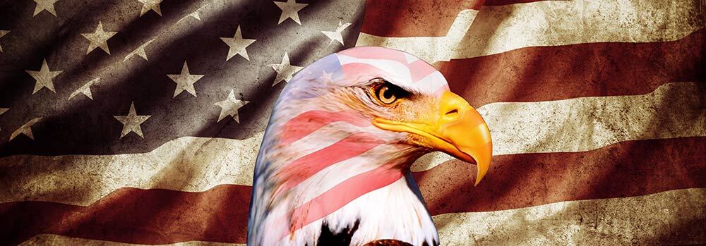 American Flag Pick Up Truck SUV Rear Back Window Graphics Decal Wrap Tint #20