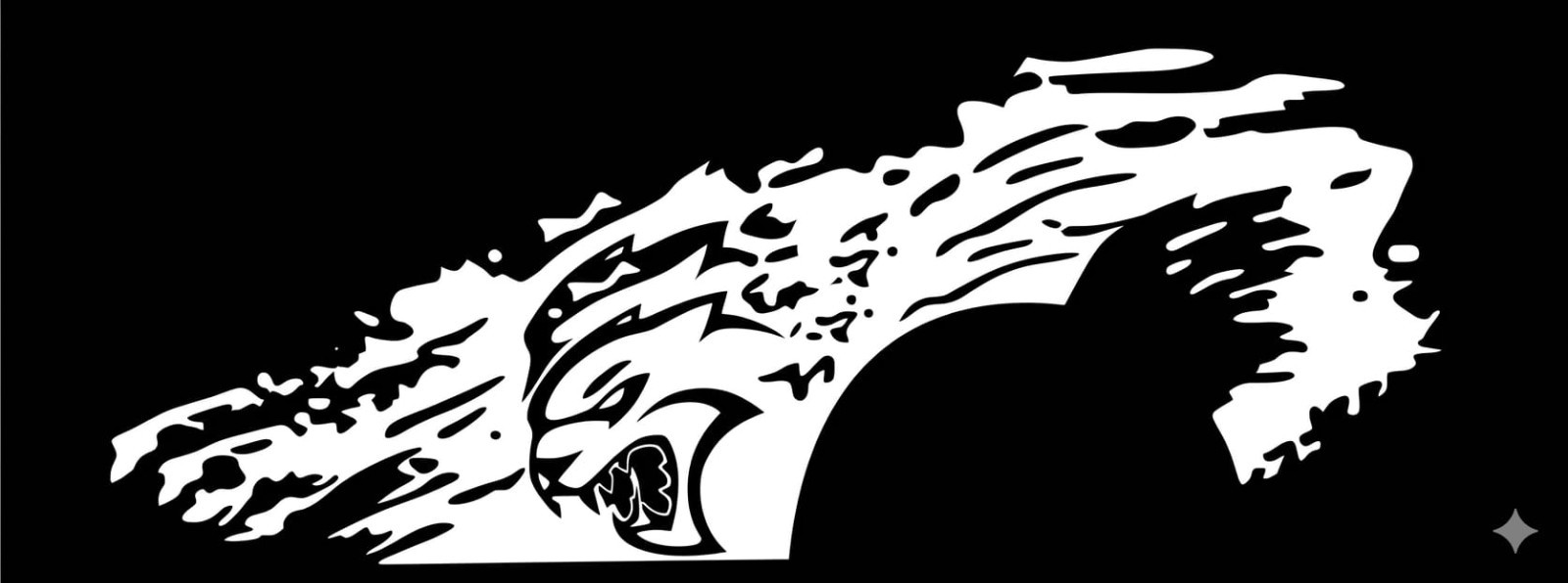 Side Decal Vinyl Graphic Sticker Dodge Ram Truck Quarter Panel Bed Set of 2