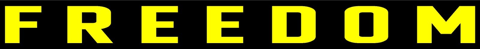 Freedom Die Cut Vinyl Decal Multiple Sizes Multiple Colors