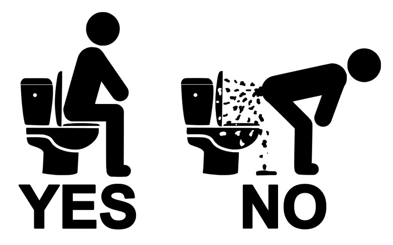 Bathroom YES NO Toilet Decal JDM Funny Decal for Toilet, Tank, Windows, Outdoors
