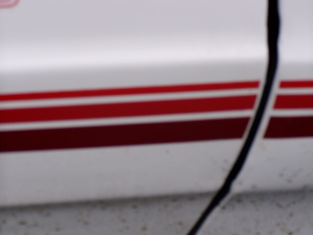 87 88 Monte Carlo SS Decals & Stripes OEM Replacement Complete Set