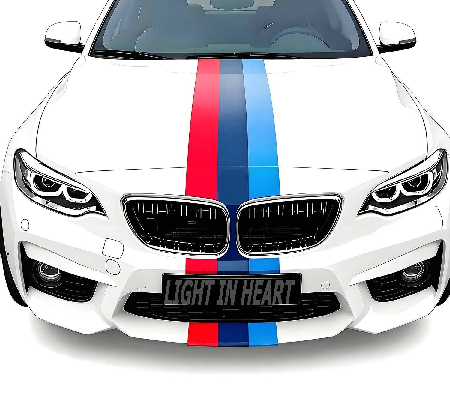 Fit For BMW M2 X3 X4 X5 X6 Graphics Sticker Car Hood Roof Rear Racing Stripes