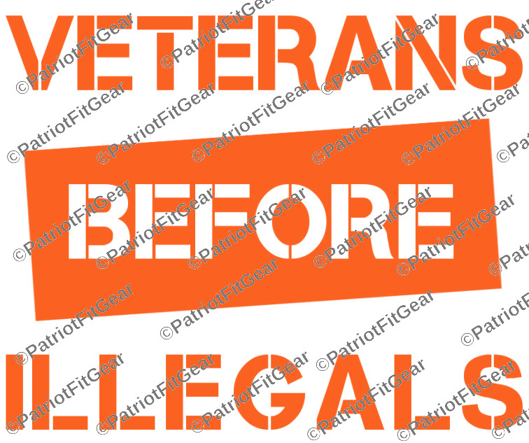 Veterans Before Illegals,Support Our Troops,12″x9″,We The People,Vinyl Decal
