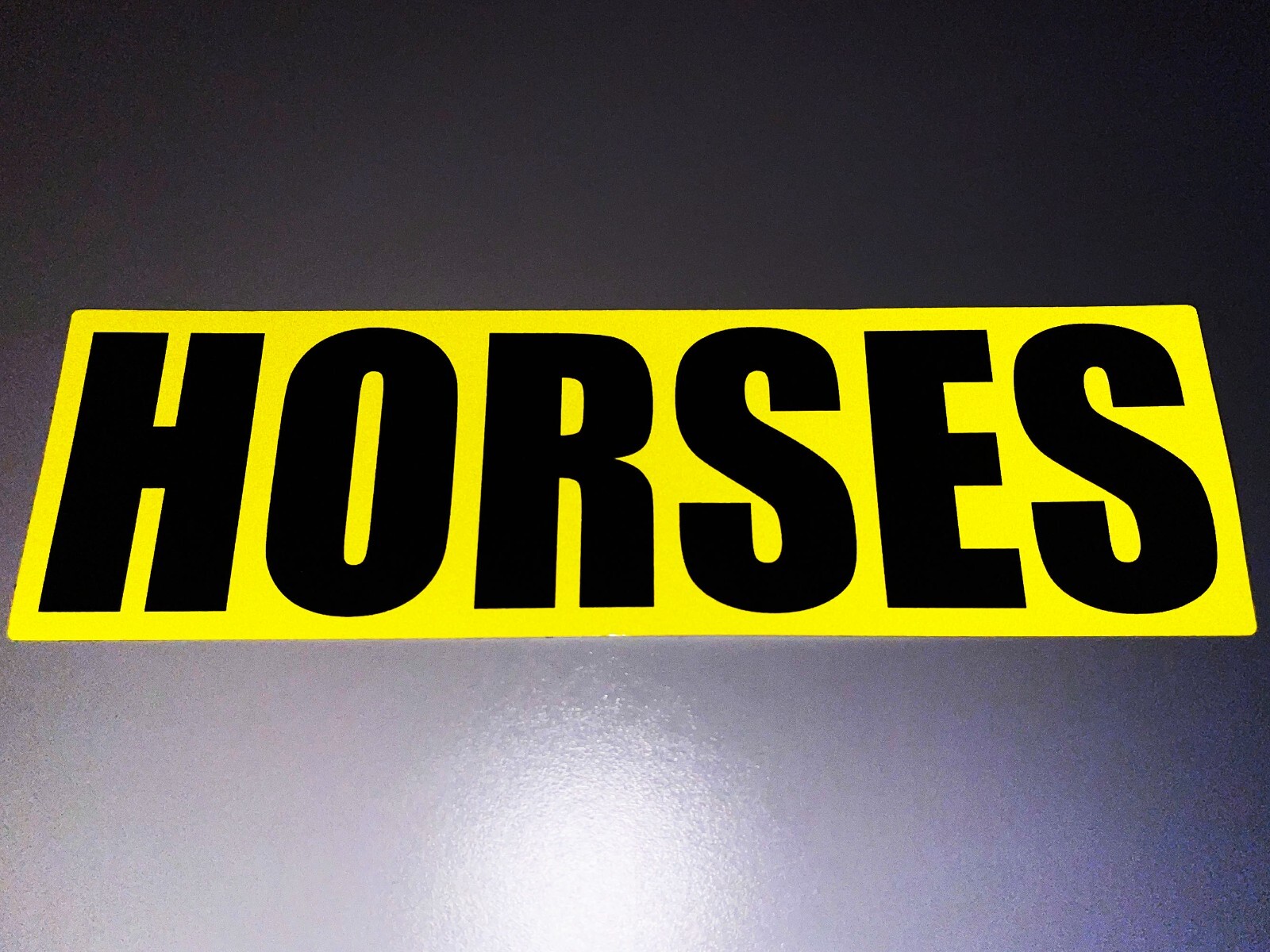 Reflective 30cm HORSES SOLO Hose Box Trailer Car Van Pickup Truck Stickers