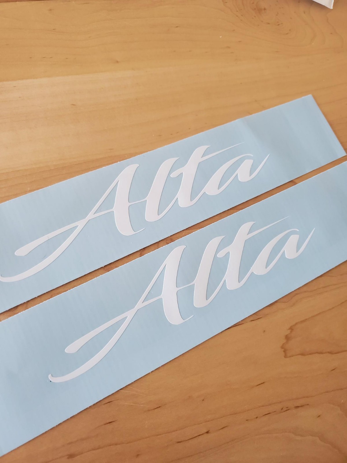 Alta rv camper decals stickers (2) Gloss white 10″
