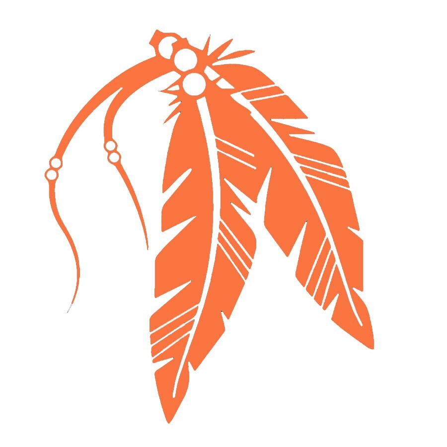 Native Feathers Light Orange Vinyl Decal, car truck windows laptop notebook