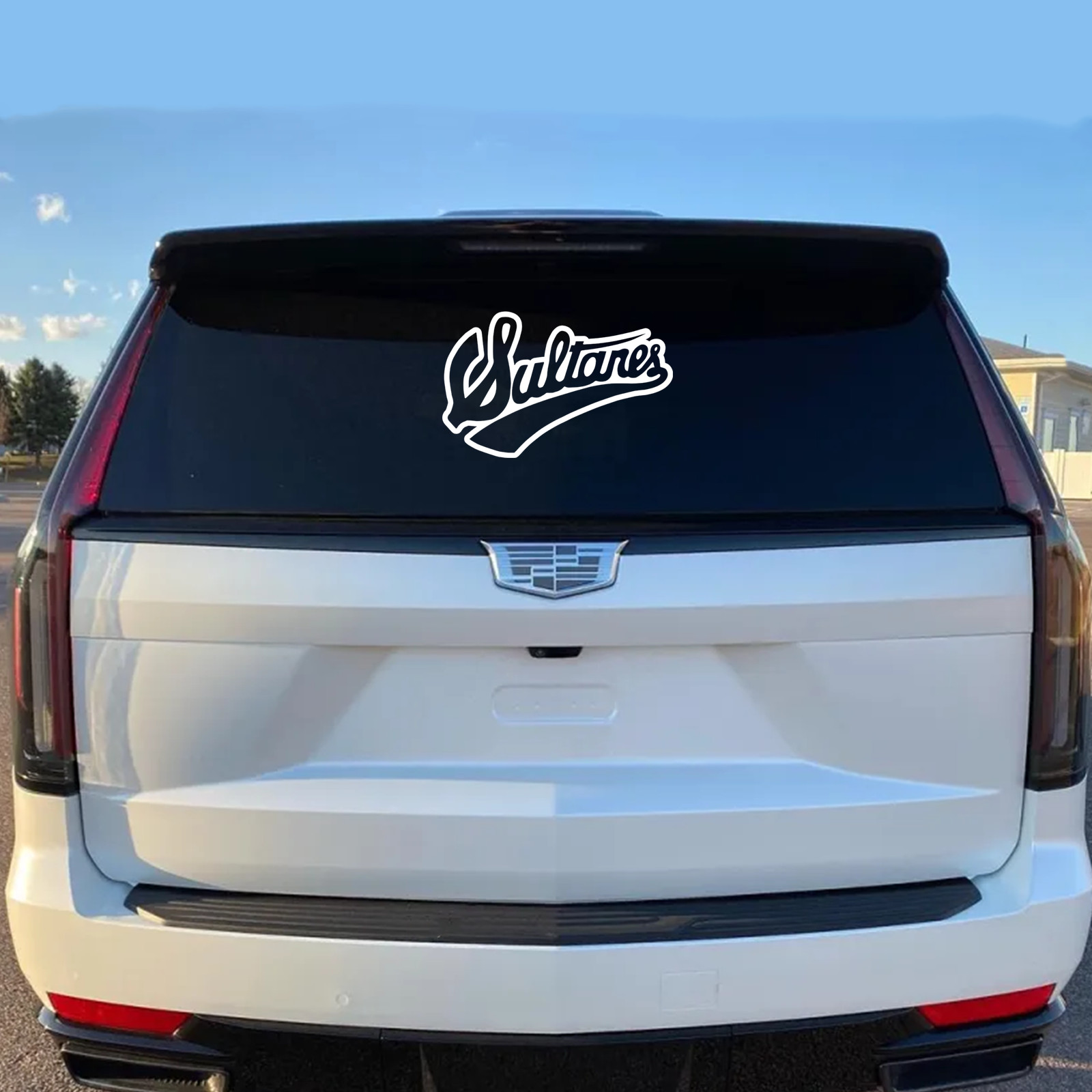 Sultanes de Monterrey LMB Beisbol Vinyl Decal Sticker Car Laptop Outdoor Mexico