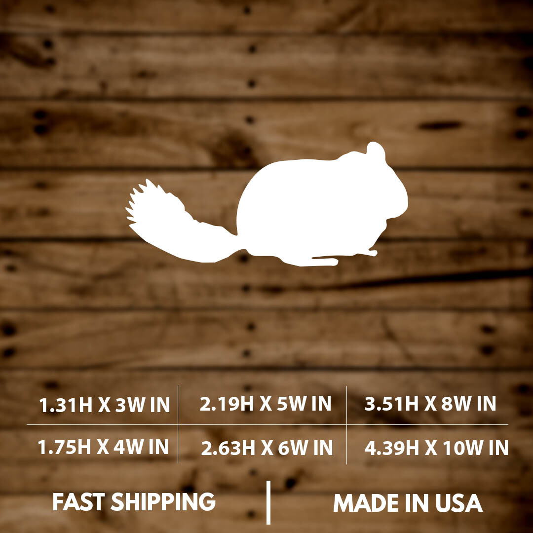 Chinchilla|Animal|Cute|Silhouette|Vinyl Sticker|Decal for Window|Laptop|Car