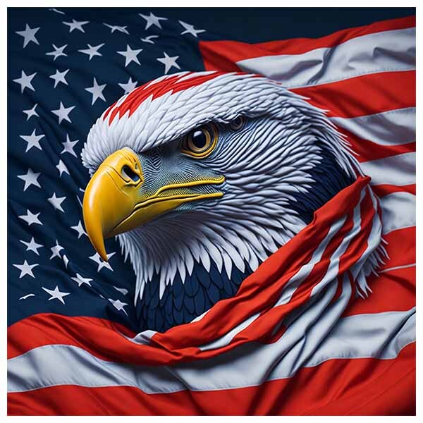 Eagle SQUARE USA America Flag Sticker Vinyl 6Years+ Resistance FREE GIFT