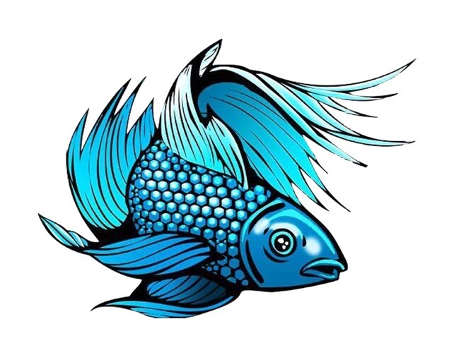 Betta Fish 3″ Sticker Blue Beautiful Fish Aquarium Hobby Tropical Freshwater