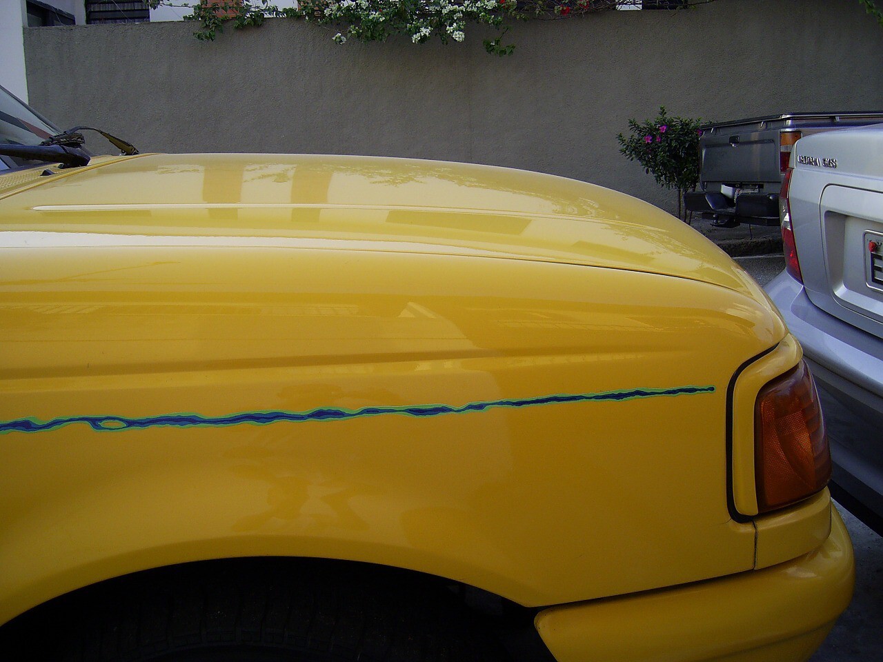 Ford Ranger Splash Decals