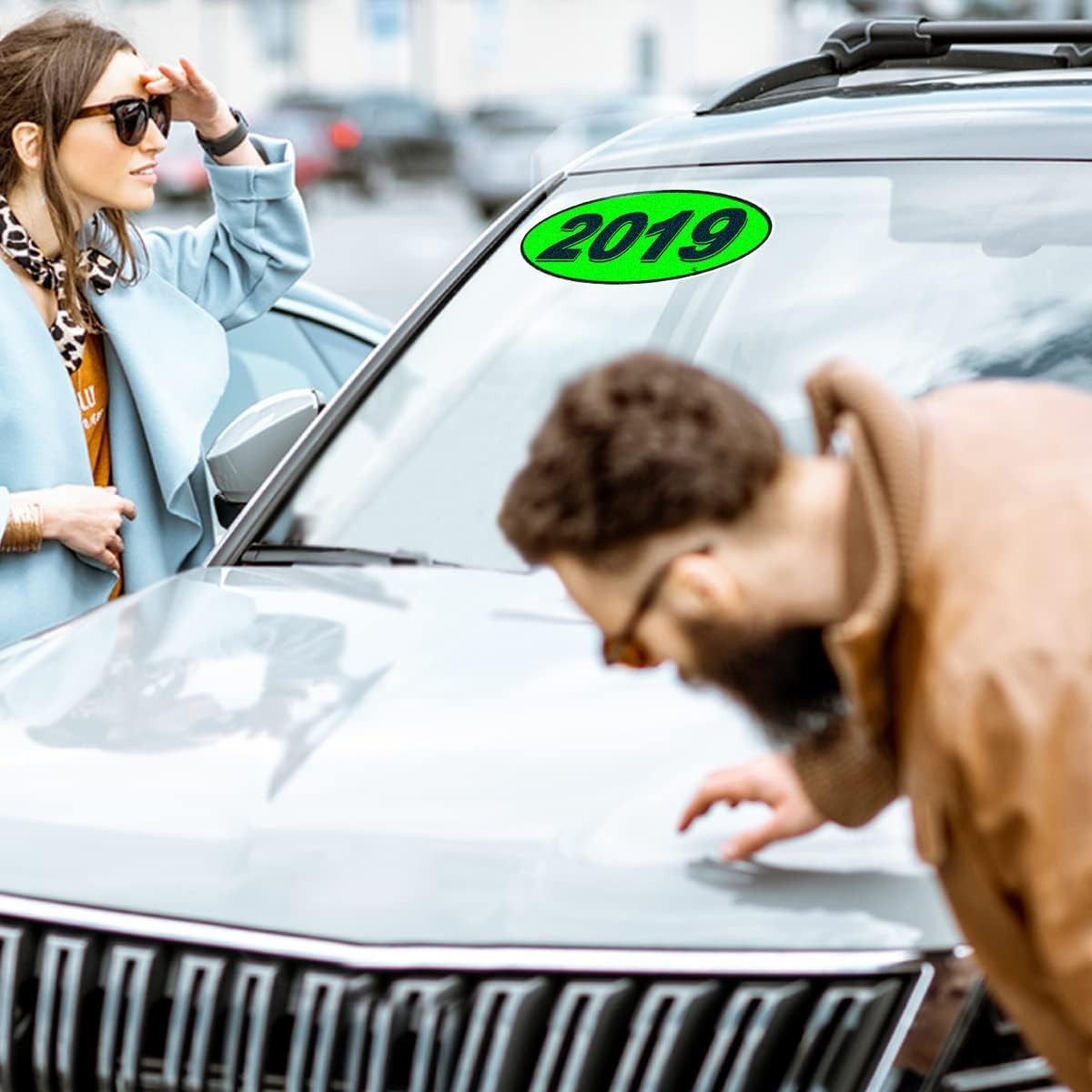 Chartreuse Green Black 2019 Oval Model Stickers for Windshield 12 Pack