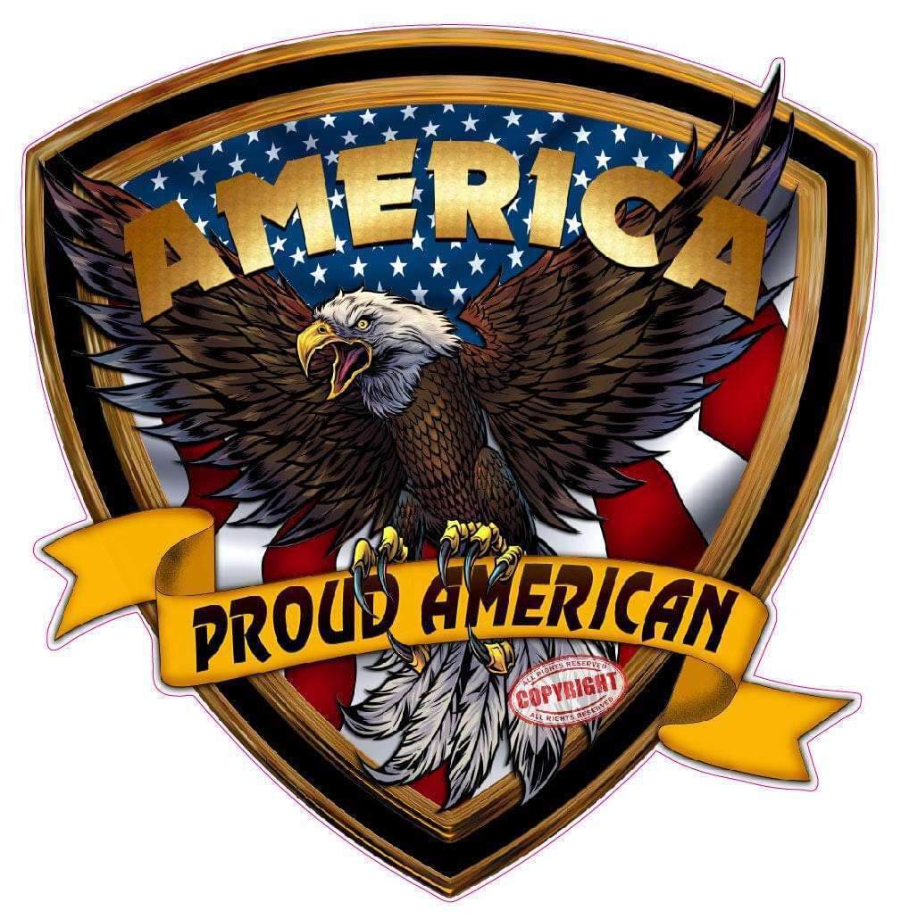Proud American Flag with Eagle Crest Decal Sticker – Perfect for Patriotic Buyer
