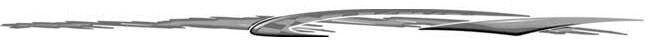 Illusions Cheetah LARGE Graphics for Cars & Trucks (440; 6″ X 132″)