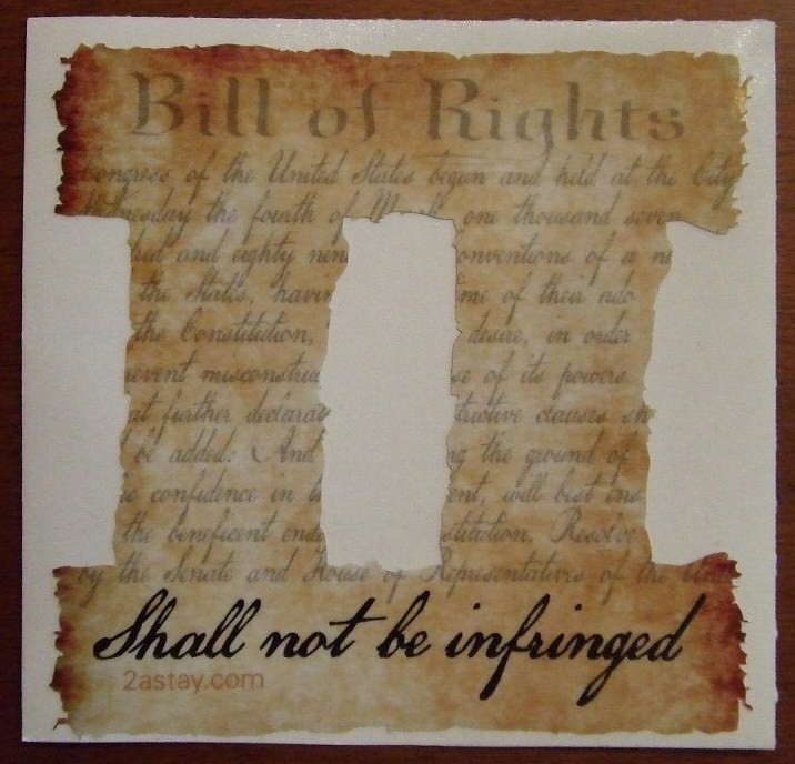 Second 2nd Amendment Car Decal Vinyl Window Sticker Bill of Rights Shall Not Be
