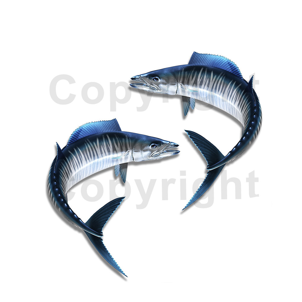 Wahoo Sticker Decal Fishing RV Boat Car Truck Camper Trailer F102 2 Pack