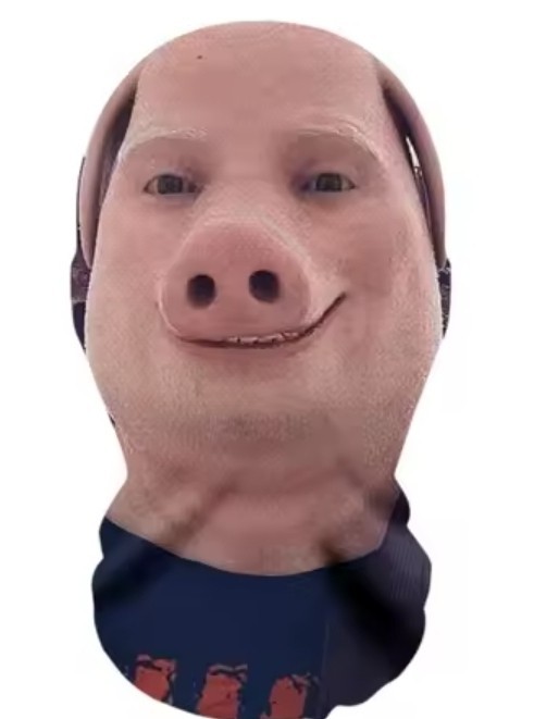 JOHN PORK PIG HALLOWEEN SEETHRU MESH FACE MASK COSTUME COSPLAY ROBLOX GAME MODEL