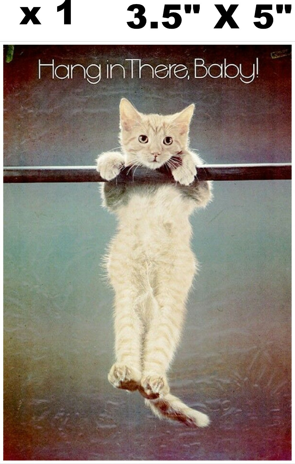 1970’S Hang in There, Baby Cat Poster reprint Magnetic 3.5″ X 5″ Limited