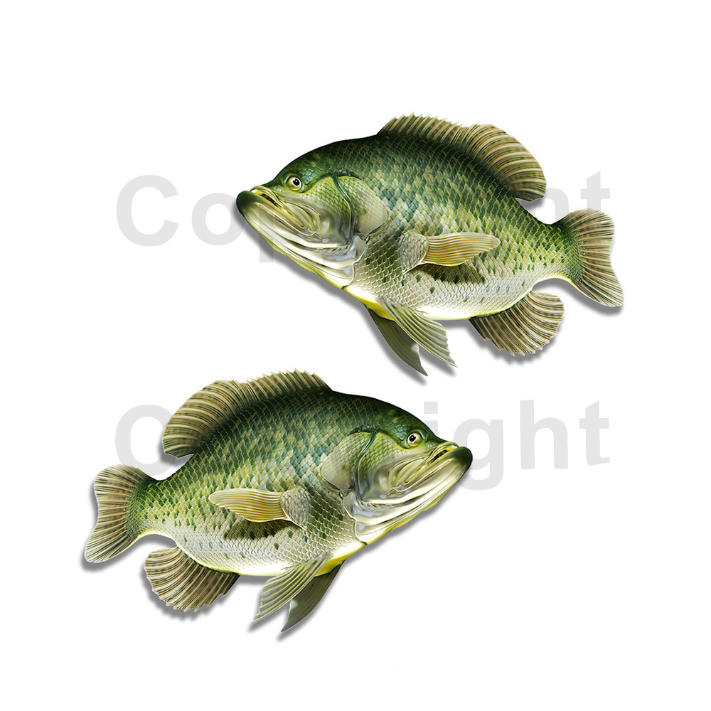 Crappie Sticker Decal Fish Boat RV Car Truck Camper Trailer Fishing F012 2 Pack