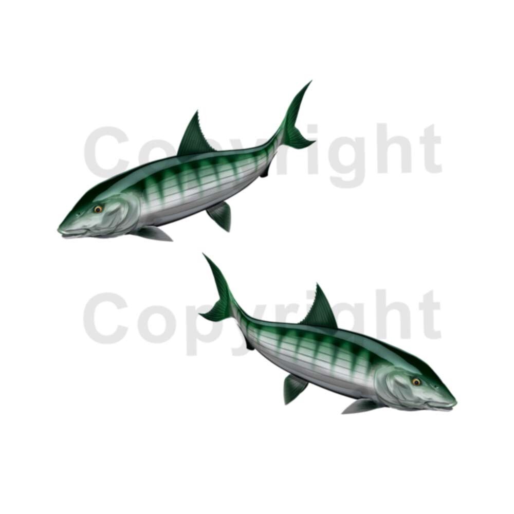 Bonefish RV Decals Vinyl Outdoor Decals – Set of 2 Vinyl Graphics 12″ long
