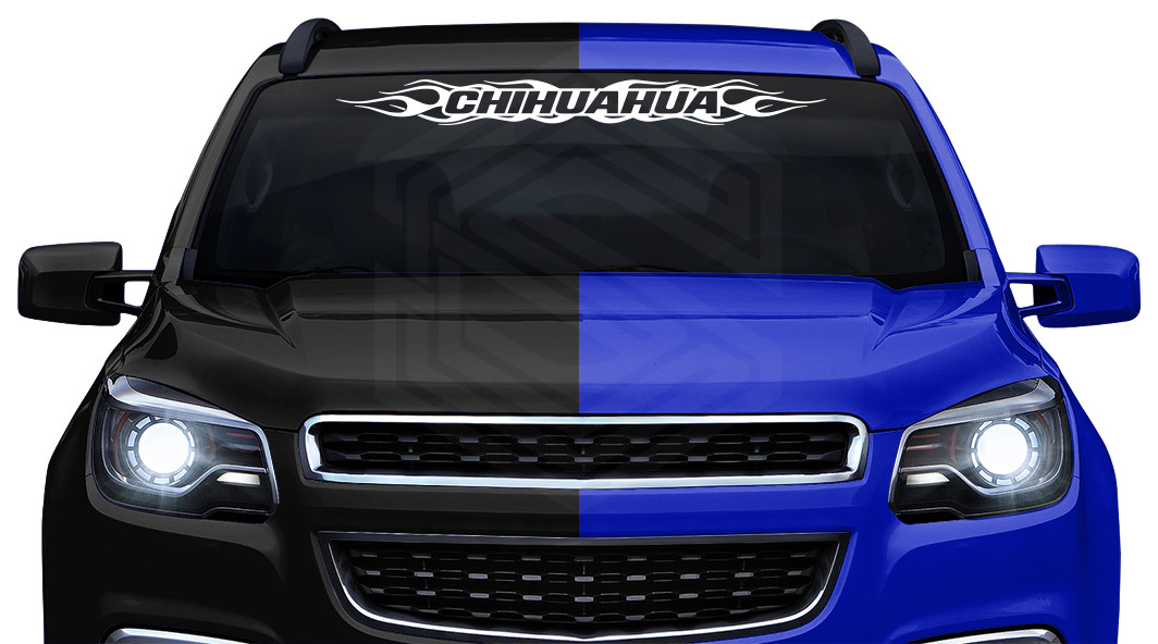 #100 CHIHUAHUA Mexico CHH Decal Sticker Windshield Window Vinyl Graphic Troca