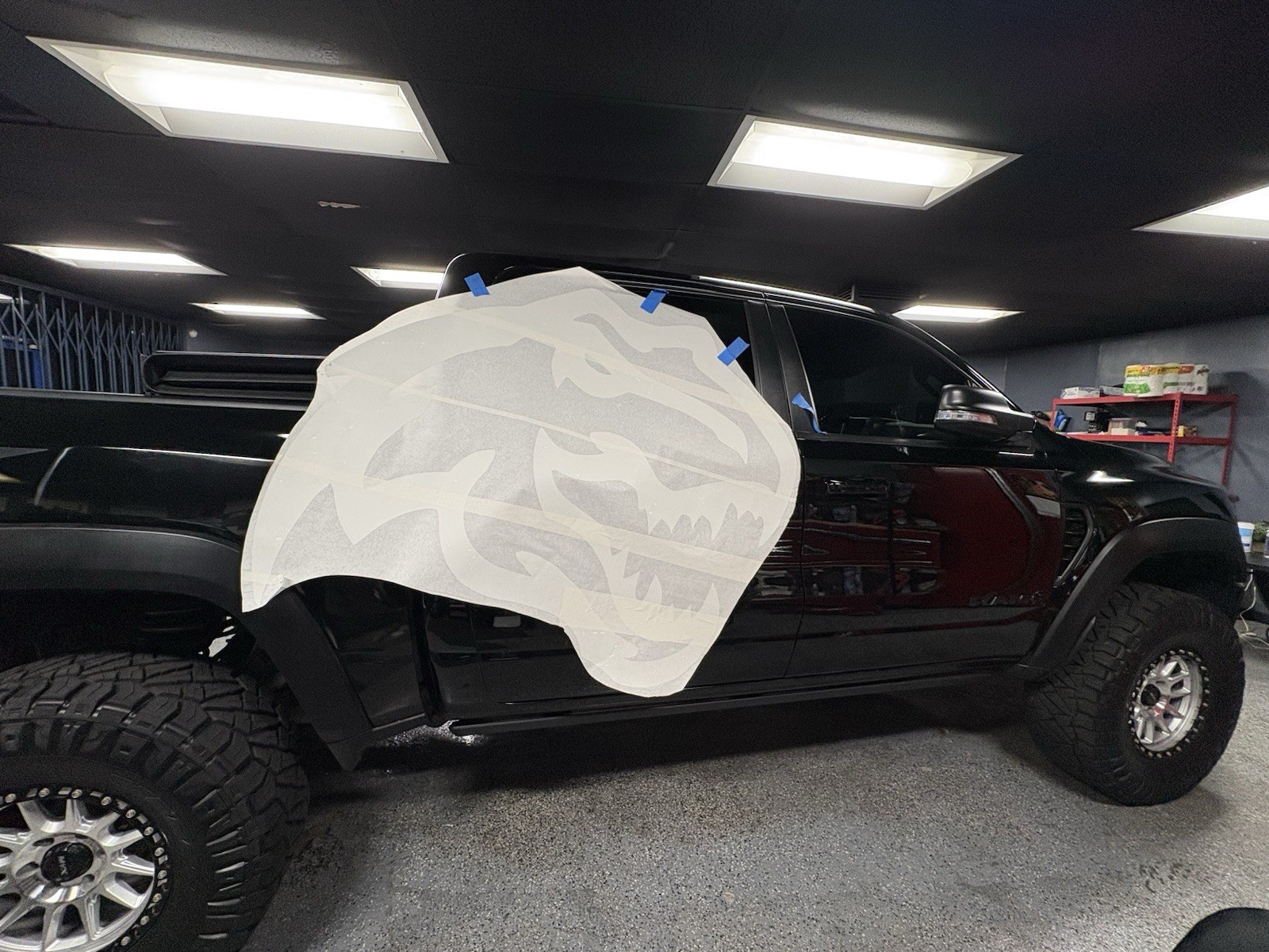 T-Rex Dino Both Sides With Bed Decals Both Sides As Well Total Of 4 Decals
