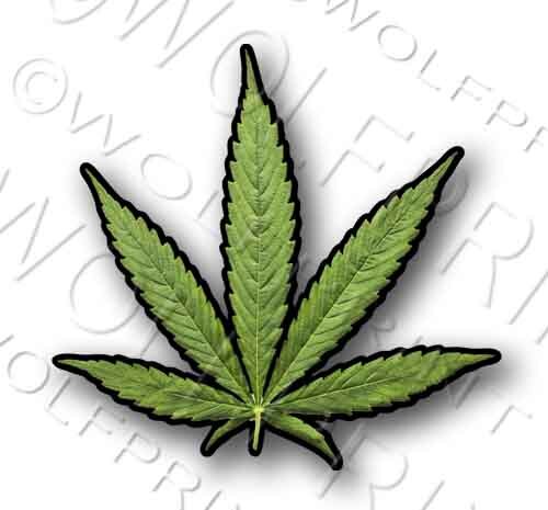 Marijuana Leaf Sticker 4″ Tall Pot Weed Cannabis Smoke Vinyl Decal