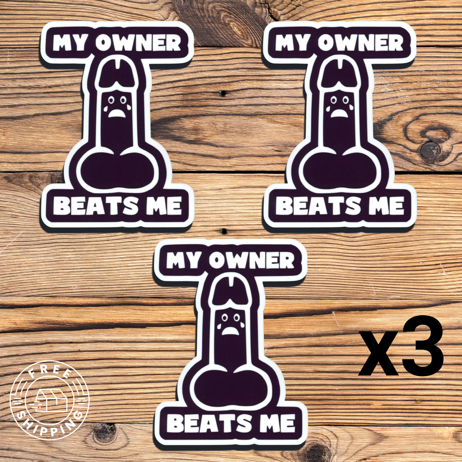 X3 My Owner Beats Me Funny Die Cut Vinyl Sticker 3PK 3″ x 4″