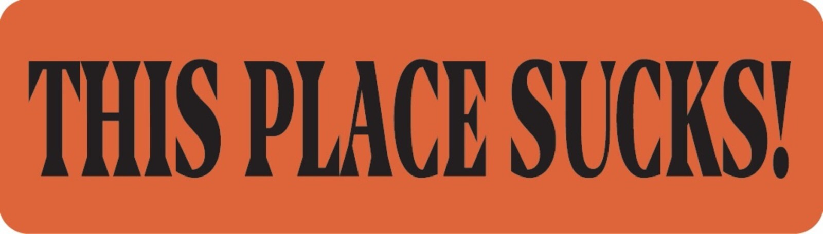 This Place Sucks Motorcycle Helmet Sticker B