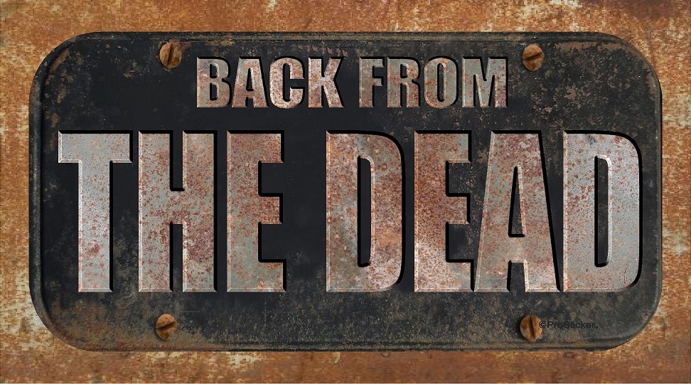 ProSticker 735 (One) 4″x8″ Rat Rod Back From The Dead Decal Sticker Not A Plate
