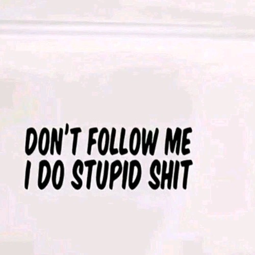 Dont Follow me, I do Stupid Sh*t! Funny Car Truck Window Sticker Decal US Seller
