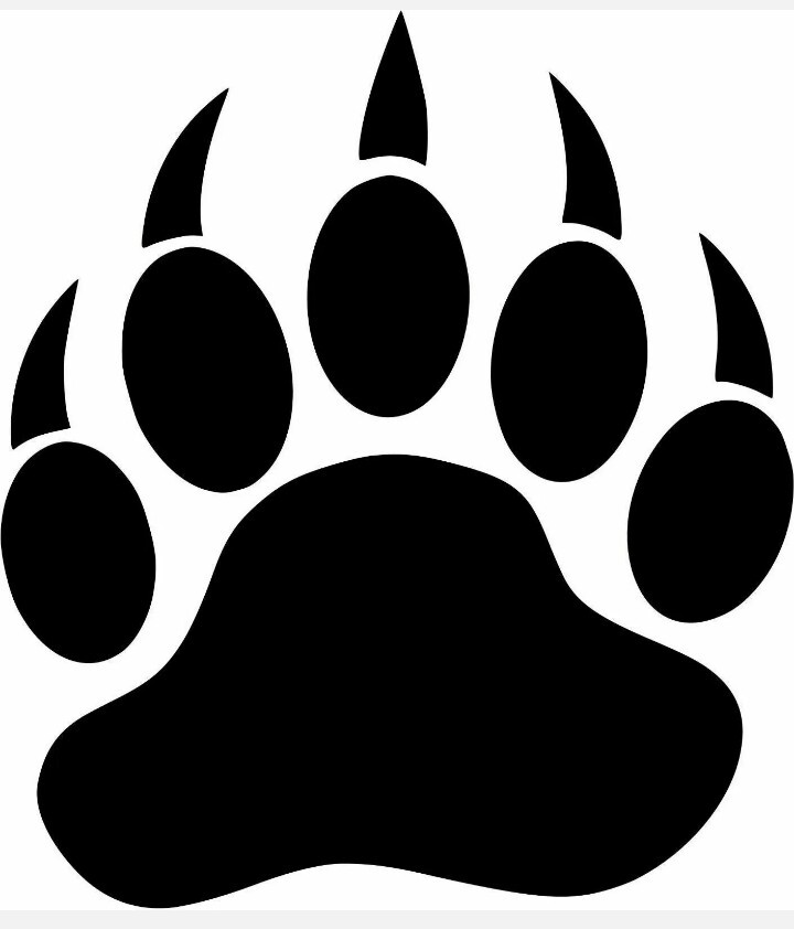 Bear Print Paw Hunting Vinyl Decal Sticker Window you choose size and color