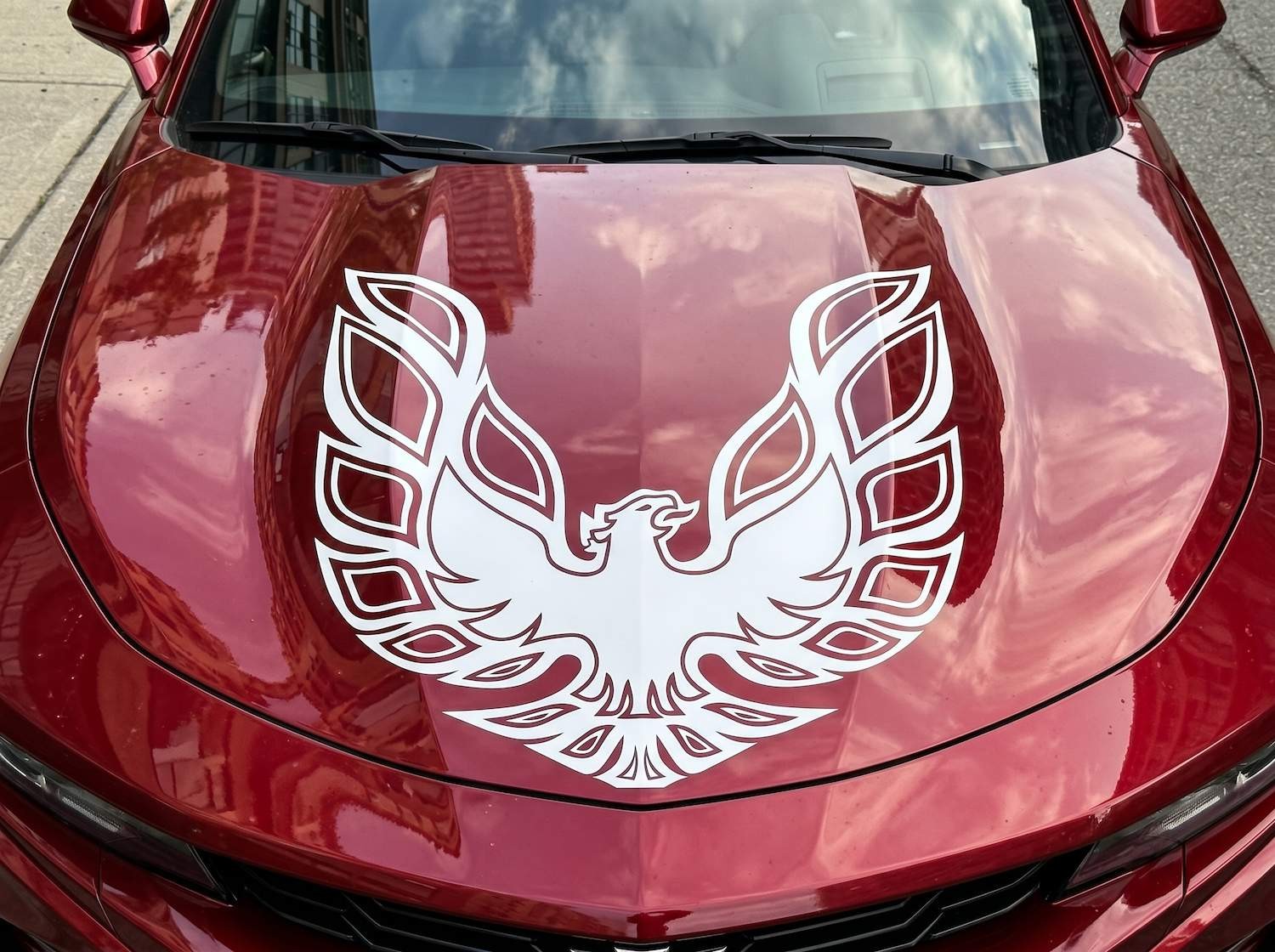 23×23 Firebird Hood Decal, Phoenix Style Vinyl Graphic, Truck SUV Car Sticker