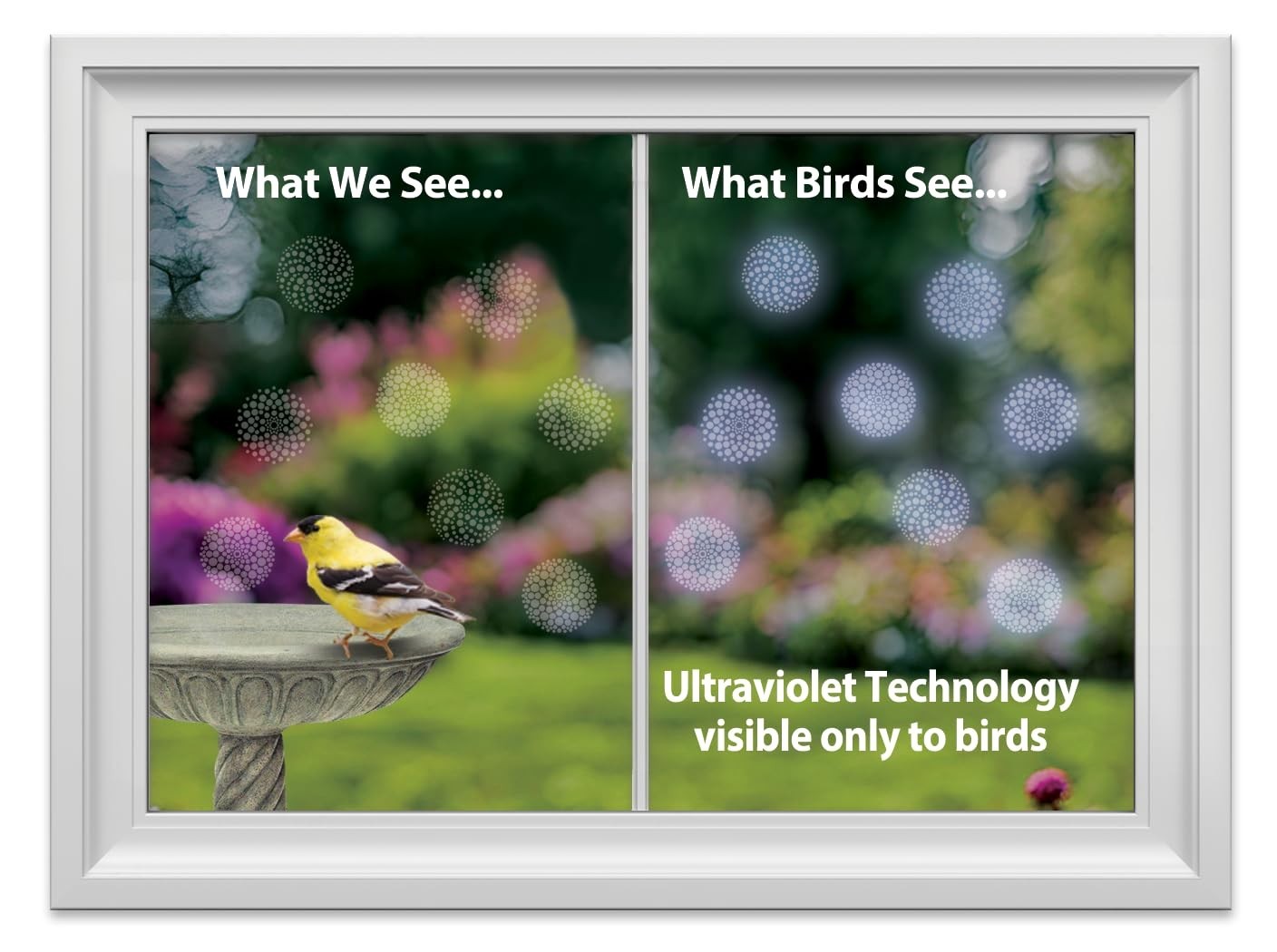 4 Pack UV-Reflective Anti-Collision Window Decals – Protect Birds from Glass