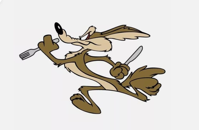 WILE E COYOTE RUNNING RIGHT or LEFT STICKER 3M USA TRUCK HELMET WINDOW CAR BIKE