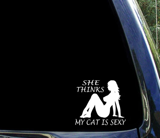 She thinks my CAT is sexy / funny skid steer loader window sticker / decal