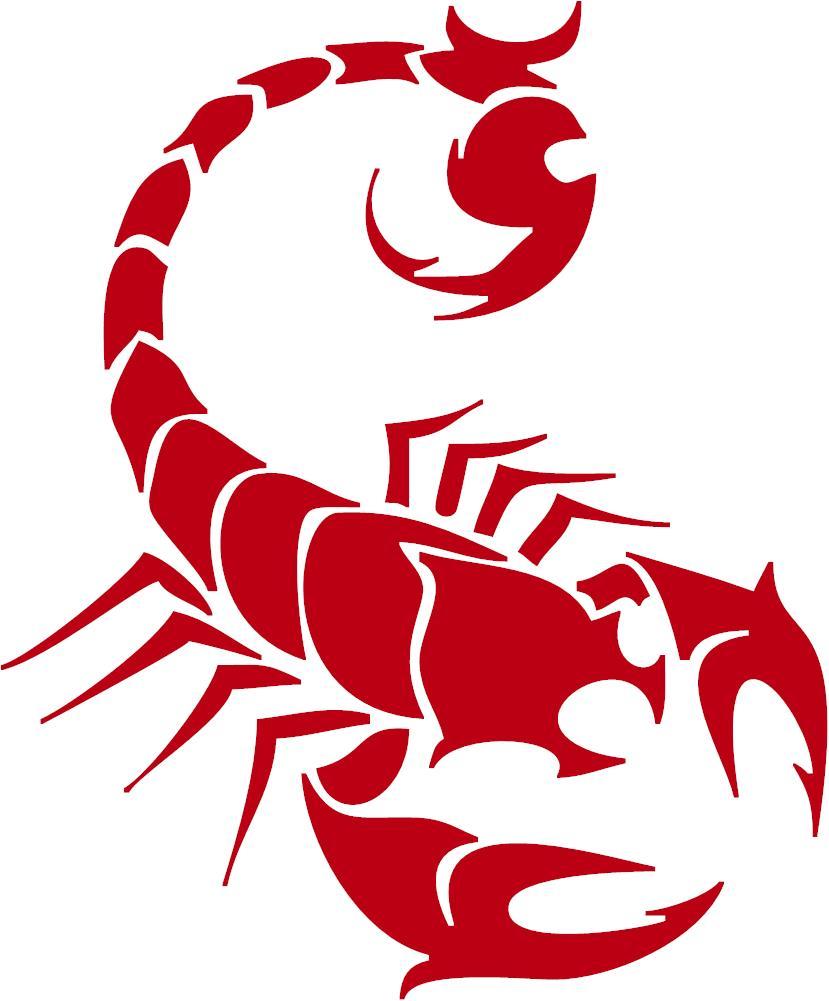 Scorpion 3 Mil Vinyl Sticker for Car or Truck Window