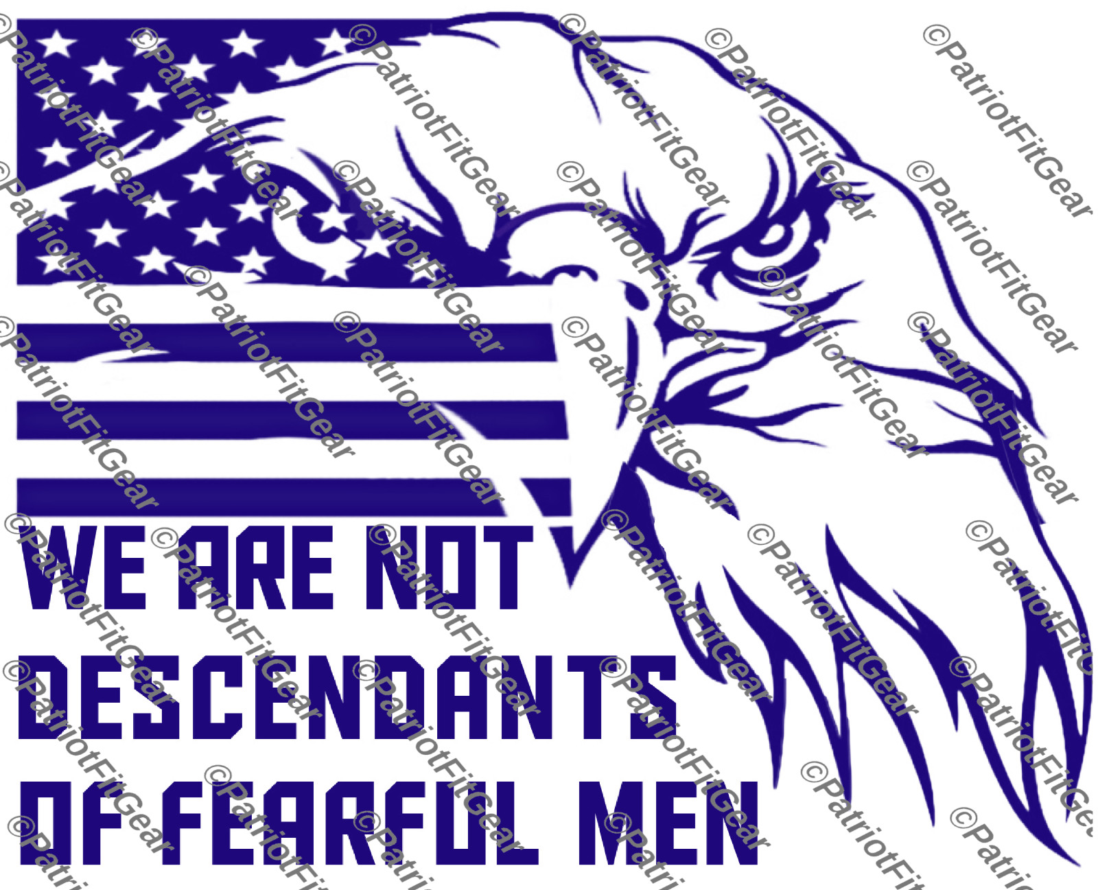 We Are Not Descendants Of Fearful Men,Flag,We The People,1776,Custom Vinyl Decal